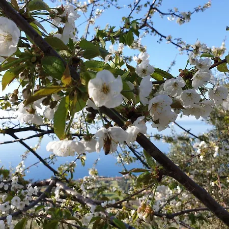 Salotto Sul Mare Bed & Breakfast Genua