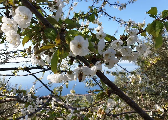 Salotto Sul Mare Bed & Breakfast Genua